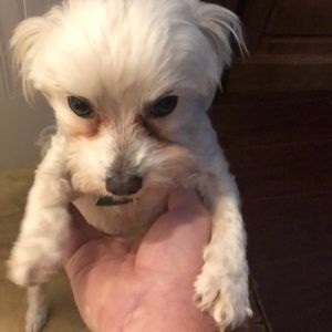 Meet your Posher, Delbert